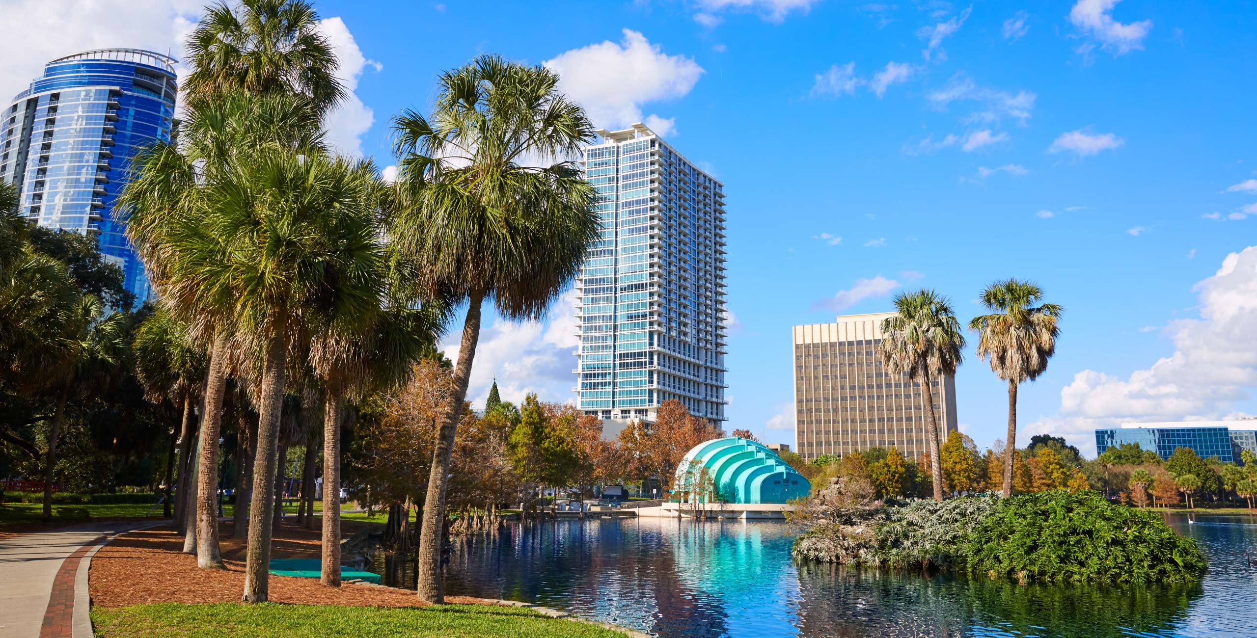 Trees and Skycrapers in Orlando, FL